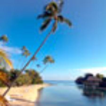 Moon Palace Take Away Chinese Food